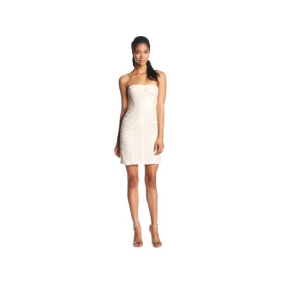 BCBGMaxAzria Dresses & Skirts - BCBGMAXAZRIA Natural Corozo Mesh Strapless Dress.